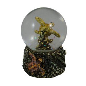 Water Globes
